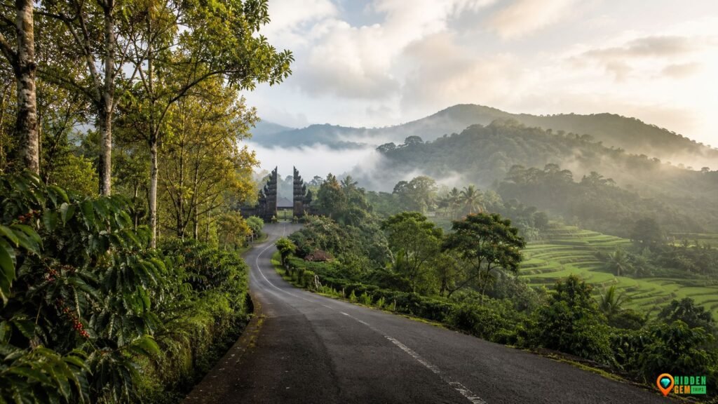 Misty highland village road in North Bali with terraced fields and forested hills.